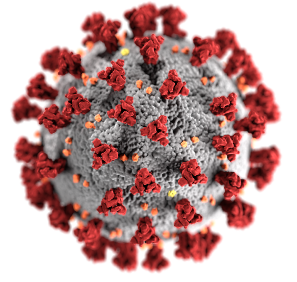 SARS-CoV-2-CDC-23312.png
