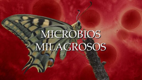 Capitulo_07_Microbios_milagrosos_horizontal_TITULO