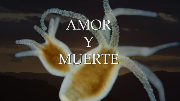 Capitulo_05_ Amor_y_muerte_horizontal_TITULO