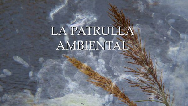 Capitulo_03_La_patrulla_ambiental_horizontal_TITULO
