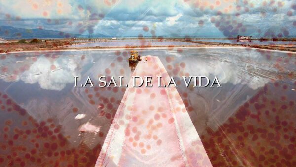 Capitulo_04_La_sal_de_la_vida_horizontal_TITULO
